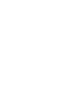 Parma Calcio 1913